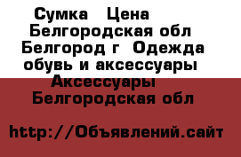 Сумка › Цена ­ 500 - Белгородская обл., Белгород г. Одежда, обувь и аксессуары » Аксессуары   . Белгородская обл.